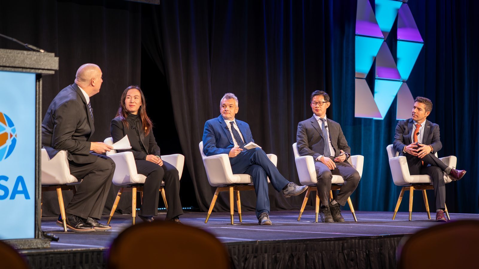 AESA Conference panel discussion